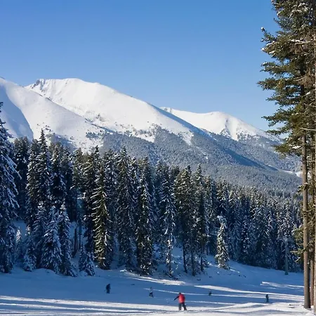 Skiing, Walking, Enjoying In Mountains *