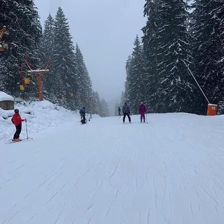 Skiing, Walking, Enjoying In Mountains *