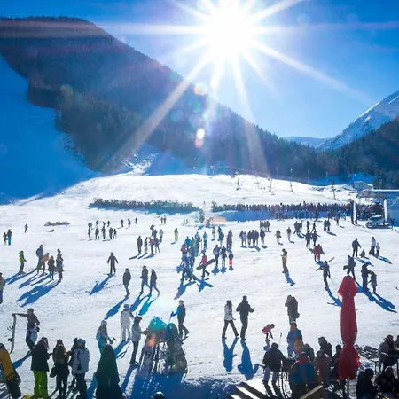 Apartment Skiing, Walking, Enjoying In Mountains Bansko