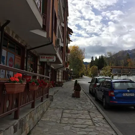 Skiing, Walking, Enjoying In Mountains