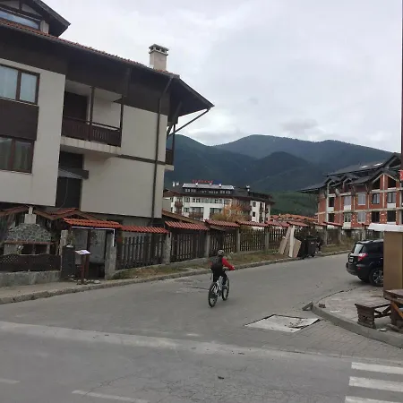 Skiing, Walking, Enjoying In Mountains *