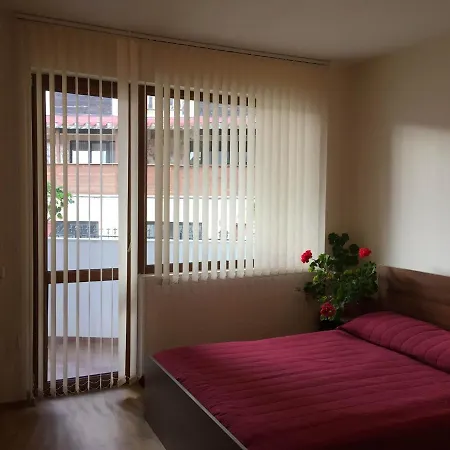 Skiing, Walking, Enjoying In Mountains Apartment *