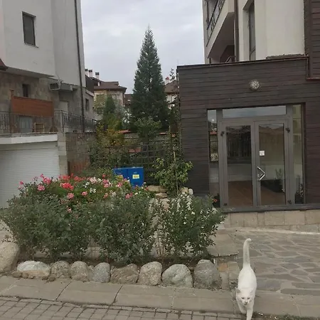 Apartment Skiing, Walking, Enjoying In Mountains Bansko