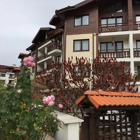 Skiing, Walking, Enjoying In Mountains Apartment