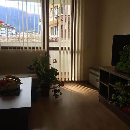 Apartment Skiing, Walking, Enjoying In Mountains